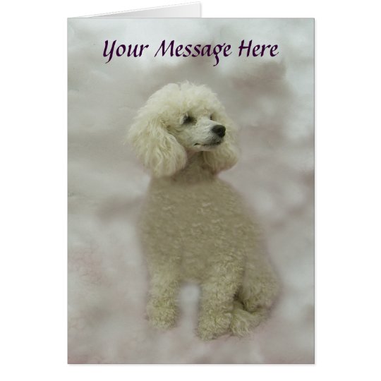 Poodles Are Heavenly Greeting Card