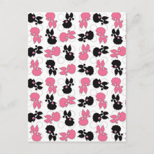 Poodles Dogs Black and Pink Postcard