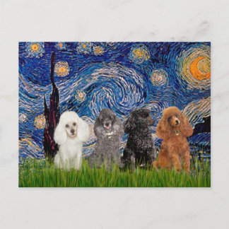 Poodles (four) - Starry Night Postcard