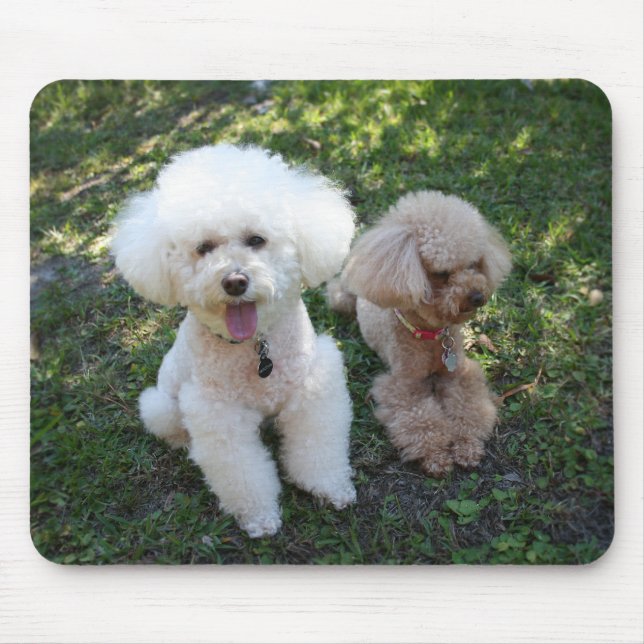 Poodles Mouse Mat (Front)