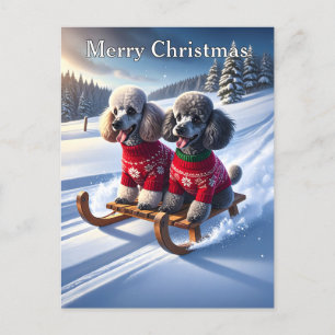 Poodles Sled Ride Christmas Postcard