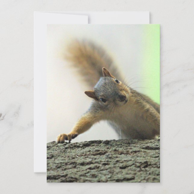 Poof Invitation (Front)