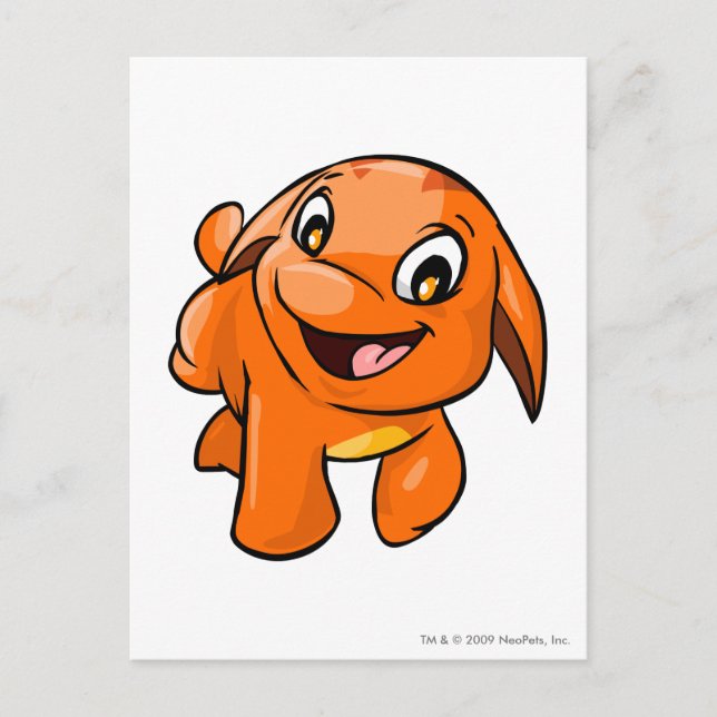 Poogle Orange Postcard (Front)