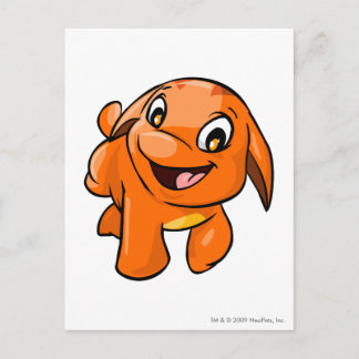 Poogle Orange Postcard