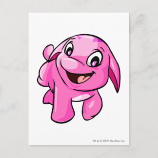 Poogle Pink Postcard