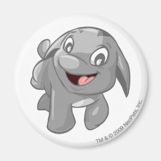 Poogle Silver Magnet