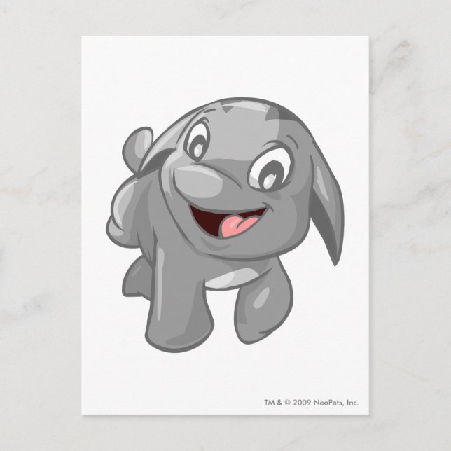 Poogle Silver Postcard (Front)