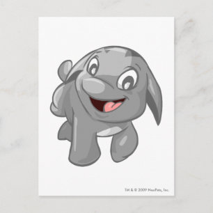 Poogle Silver Postcard