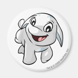 Poogle White Magnet