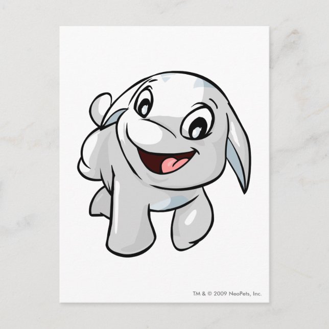 Poogle White Postcard (Front)