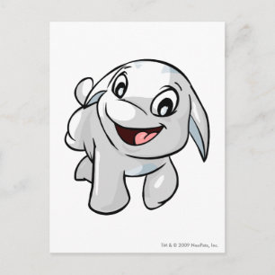 Poogle White Postcard
