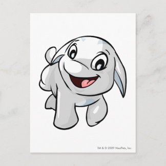 Poogle White Postcard
