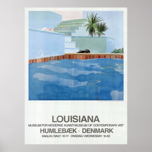 Pool And Steps Poster (Front)