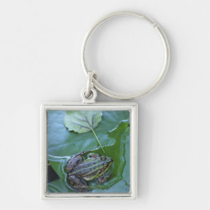 Pool Frog, Amperauen, Germany Key Ring