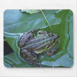 Pool Frog, Amperauen, Germany Mouse Mat