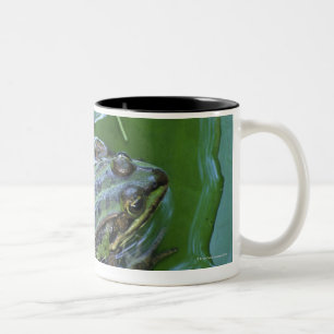 Pool Frog, Amperauen, Germany Two-Tone Coffee Mug