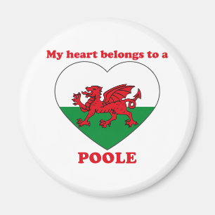 Poole Magnet
