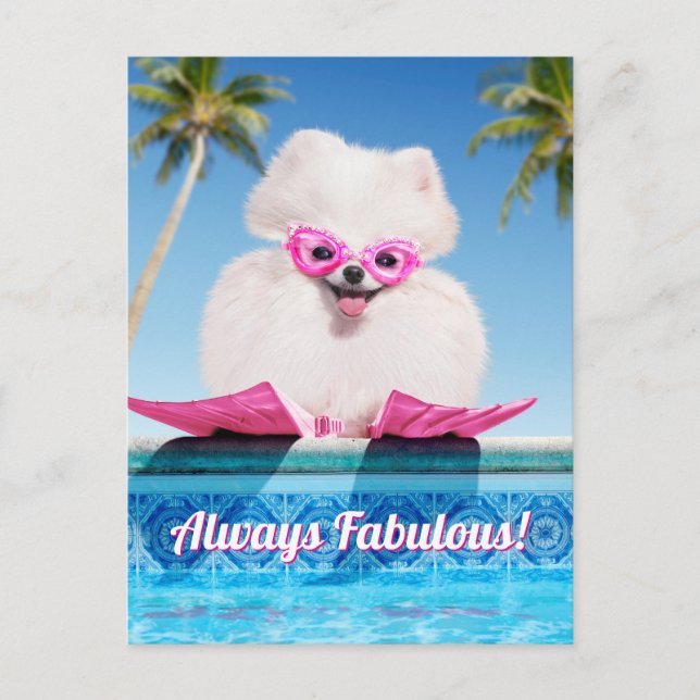 Poolside Dog In Flippers Invitation Postcard (Front)