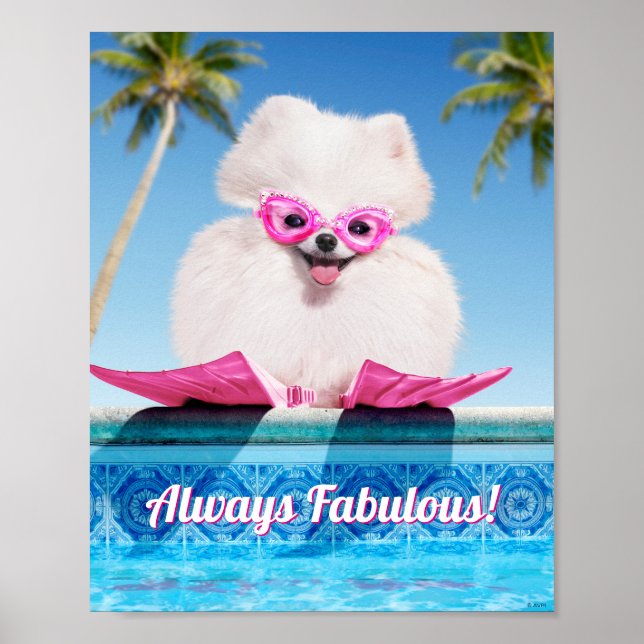 Poolside Dog In Flippers Poster (Front)
