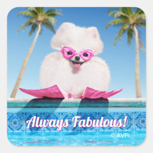 Poolside Dog In Flippers Square Sticker