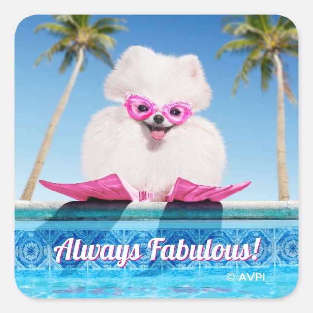 Poolside Dog In Flippers Square Sticker (Front)