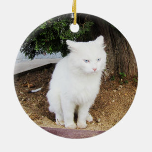 Pooping Cat Ceramic Tree Decoration