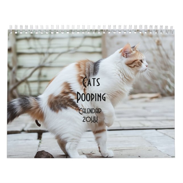 Pooping Cats Calendar 2026 (Cover)