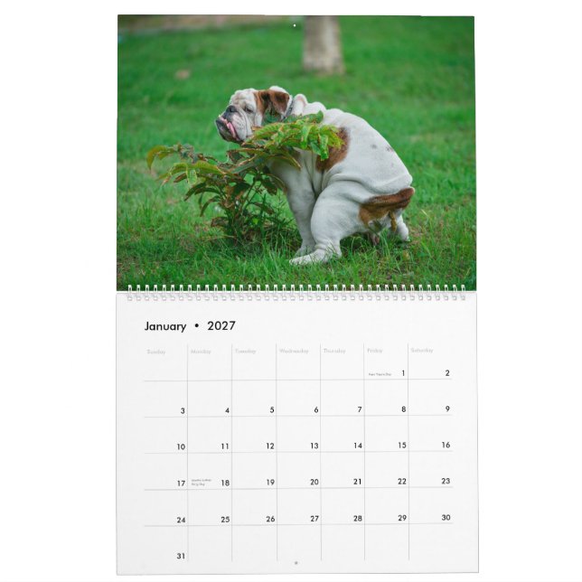 Pooping Dogs Calendar 2023, Funny Dogs  (Jan 2027)