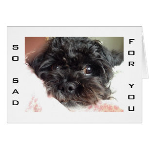 POOR DOG IS SO SAD U R TURNING 40