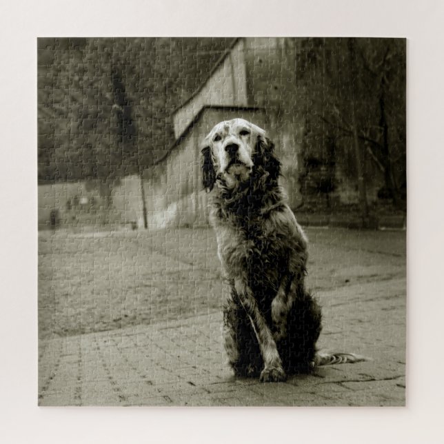 Poor Dog Waiting Jigsaw Puzzle (Vertical)
