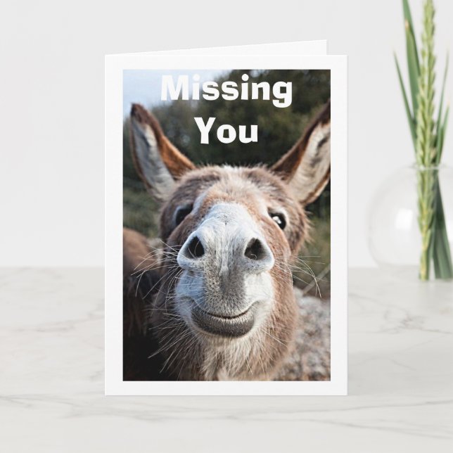 POOR DONKEY MISSES YOU/NOT VERY HAPPY ABOUT THAT CARD (Front)