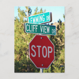 Poor Lemming Postcard