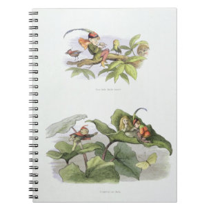 Poor little Birdie teased, and Courtship cut short Notebook