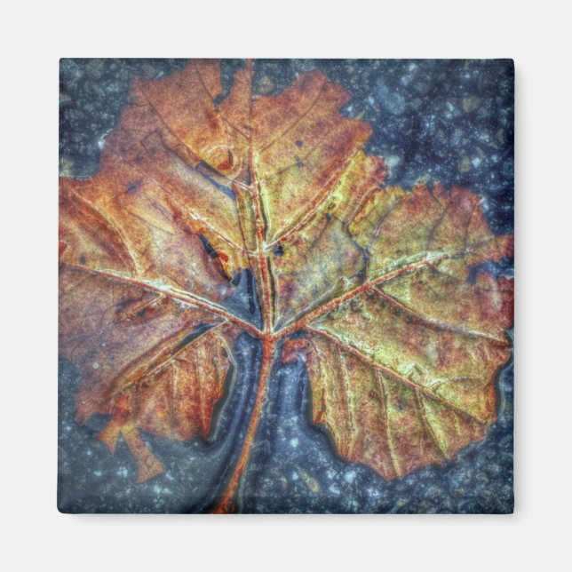 Pop Art Autumn Leaf Magnet (Front)