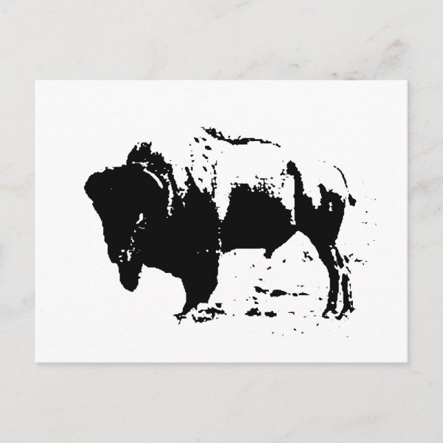 Pop Art Black & White Buffalo Silhouette Postcard (Front)