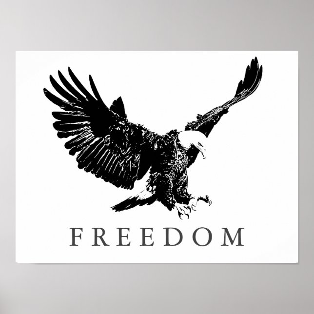 Pop Art Black White Freedom Eagle Landing Poster (Front)