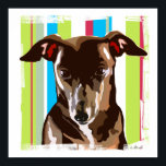 Pop Art Canvas Print<br><div class="desc">All dog lovers - especially Italian Greyhound,  Whippet,  and Greyhound owners - will appreciate this canvas print! Showing the festive side of the breed with lime,  turquoise,  and bright berry coloured stripes behind a loveable pup! Perfect fun accent to any room in the house or your business.</div>