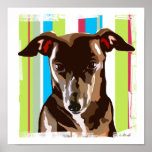 Pop Art Canvas Print<br><div class="desc">All dog lovers - especially Italian Greyhound,  Whippet,  and Greyhound owners - will appreciate this canvas print! Showing the festive side of the breed with lime,  turquoise,  and bright berry coloured stripes behind a loveable pup! Perfect fun accent to any room in the house or your business.</div>