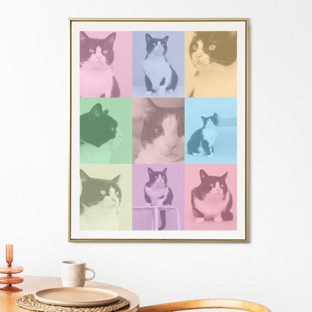 Pop Art Cat 9 Photo Modern Retro Colour Block Poster (Creator Uploaded)