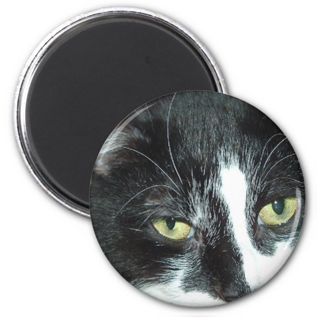 Pop Art Cat Magnet (Front)