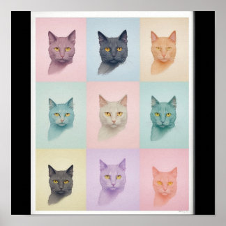 Pop Art cat Photo Modern Trendy Retro Colour Block Poster