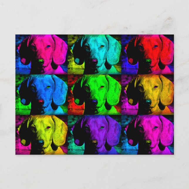 Pop Art Dachshund Doxie Sweet Face Soulful Eyes Postcard (Front)