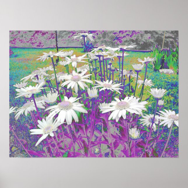 Pop Art Daisies Poster (Front)