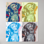 Pop Art Dog Poster<br><div class="desc">A poster of my dog Ruger in pop art style.</div>