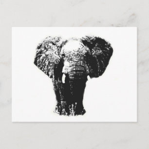 Pop Art Elephant Postcard