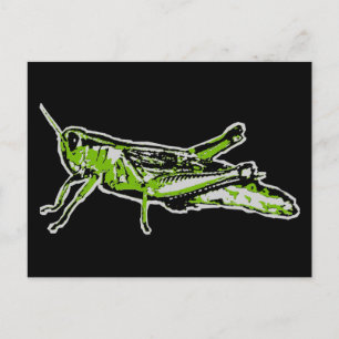 Pop Art Green Grasshopper Postcard