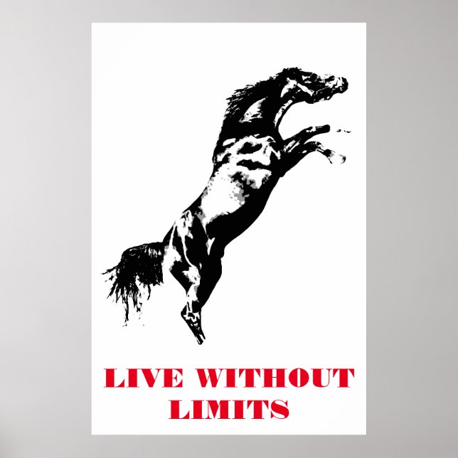 Pop Art Horse Motivational Artwork Black White Poster (Front)