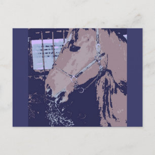 Pop Art Horse Postcard