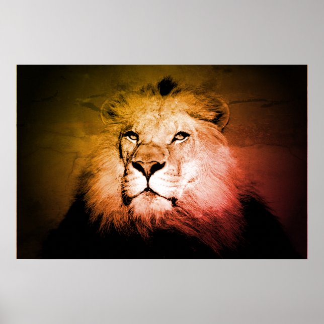 Pop Art Lion - Wild Animal Photography Poster (Front)