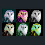 Pop Art Owl Poster<br><div class="desc">Great looking poster print done in a pop art style, with a barn owl in 6 different colours. Stylish poster and great for any bird lover.</div>
